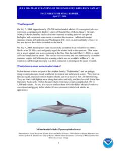July 2004 Mass Stranding of Melon-Headed Whales in Hawai'i: Fact Sheet