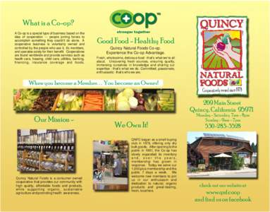 new brochure layout front