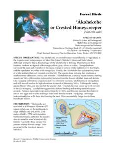 ʻAkohekohe / ʻApapane / ʻIʻiwi / Metrosideros polymorpha / Endemic birds of Hawaii / Maui Parrotbill / Fauna of the United States / Drepanidinae / Fringillidae