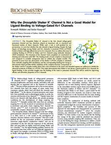 Article pubs.acs.org/biochemistry Why the Drosophila Shaker K+ Channel Is Not a Good Model for Ligand Binding to Voltage-Gated Kv1 Channels Somayeh Mahdavi and Serdar Kuyucak*