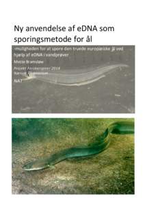    Ny	
  anvendelse	
  af	
  eDNA	
  som	
   sporingsmetode	
  for	
  ål	
   -­‐muligheden	
  for	
  at	
  spore	
  den	
  truede	
  europæiske	
  ål	
  ved	
   hjælp	
  af	
  eDNA	
  i	
  va