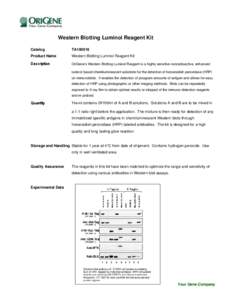 Microsoft Word - Western Blotting Luminol Reagent.doc
