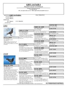 GRP1 14 PAIR 6 PIGEON SALES AUSTRALIA PO BOX 1760 Gawler SA 5118 Tel: URL: www.pigeonsales.com.au * eMail: 