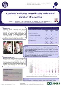 D E PA R T M E N T O F LA R G E A N I MA L S C I E N C E S UN IVE R S ITY O F C OPE NHAGE N Confined and loose housed sows had similar duration of farrowing Hales,