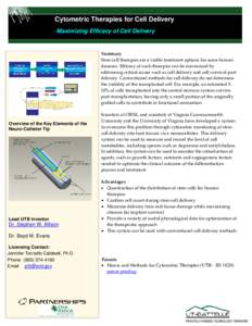 Cell biology / Angiogenesis / Angiology / Stem cell / Stem cell treatments / Adult stem cell / Biology / Biotechnology / Stem cells