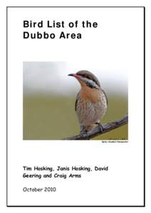 Bird List of the Dubbo Area Spiny-cheeked Honeyeater  Tim Hosking, Janis Hosking, David