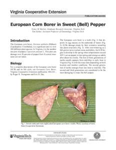publication[removed]European Corn Borer in Sweet (Bell) Pepper Vonny M. Barlow, Graduate Research Associate, Virginia Tech Tom Kuhar, Assistant Professor of Entomology, Virginia Tech