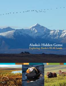 Bureau of Land Management / Sockeye salmon / Bristol Bay / Chinook salmon / Alaska / Chum salmon / Fish / Salmon / Oncorhynchus