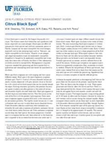 2016 FLORIDA CITRUS PEST MANAGEMENT GUIDE:  Citrus Black Spot1 M.M. Dewdney, T.S. Schubert, M.R. Estes, P.D. Roberts, and N.A. Peres2  Citrus black spot is caused by the fungus Guignardia citricarpa. The disease causes f