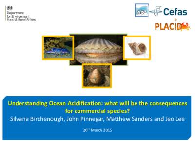 Understanding Ocean Acidification: what will be the consequences for commercial species? Silvana Birchenough, John Pinnegar, Matthew Sanders and Jeo Lee 20th March 2015  Placing Ocean Acidification into a wider fisherie