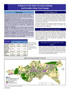 A Report on the Town of Luray’s Existing and Possible Urban Tree Canopy Key Terms Project Background