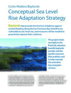Corte Madera Baylands  Conceptual Sea Level Rise Adaptation Strategy Baylands that provide the first line of defense against