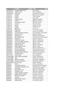 Mammals of Olympic National Park / California Myotis / Long-eared Myotis / Mouse-eared bats / Mammals of Grand Teton National Park / Rodent