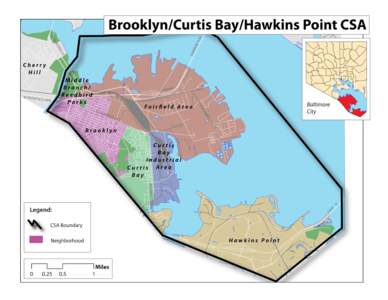 Brooklyn/Curtis Bay/Hawkins Point Brooklyn/Curtis Bay/Hawkins Point Vital Signs 13 Community Statistical Area (CSA) Profiles  Brooklyn/Curtis Bay/Hawkins Point