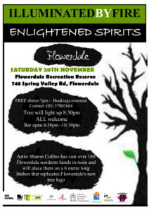 ILLUMINATEDBYFIRE ENLIGHTENED SPIRITS SATURDAY 20TH NOVEMBER Flowerdale Recreation Reserve 748 Spring Valley Rd, Flowerdale