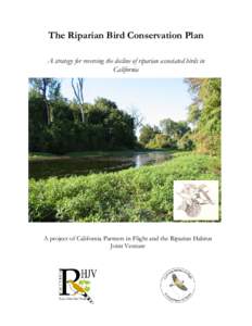 The Riparian Bird Conservation Plan A strategy for reversing the decline of riparian associated birds in California A project of California Partners in Flight and the Riparian Habitat Joint Venture