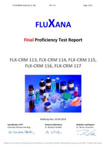 FLUXANA® GmbH & Co. KG  RV 113 Page 1/215
