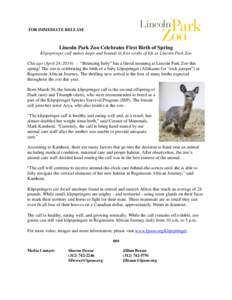 FOR IMMEDIATE RELEASE  Lincoln Park Zoo Celebrates First Birth of Spring Klipspringer calf makes leaps and bounds in first weeks of life at Lincoln Park Zoo Chicago (April 24, 2014) — “Bouncing baby” has a literal 