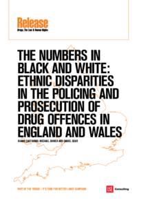 the numbers in black and white: ethnic disparities in the policing and prosecution of drug offences in