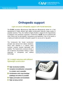 Orthopedic support Light structure orthopedic support with fractal elements The ELiSE procedure (Evolutionary Light Structure Engineering) allows for a fast development of highly efficient light weight constructions offe