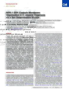 MPK-1 ERK Controls Membrane Organization in C.&nbsp;elegans Oogenesis via a Sex-Determination Module