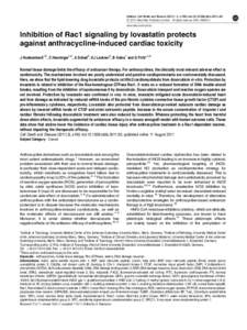 Inhibition of Rac1 signaling by lovastatin protects against anthracycline-induced cardiac toxicity