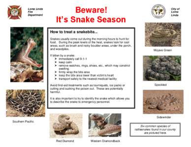 Loma Linda Fire Department Beware! It’s Snake Season