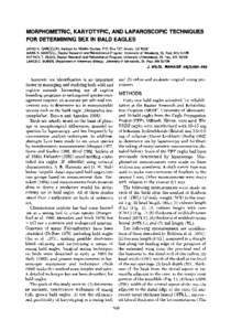 Haliaeetus / Cytogenetics / Bald Eagle / Sex-determination system / Bird / Karyotype / Gender / Chromosome / Sexing / Biology / Genetics / Eagles