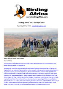 Birding Africa 2013 Ethiopia Tour Report by Michael Mills, www.birdingafrica.com Birding above the Jemma Valley, Ethiopia  Tour Summary:
