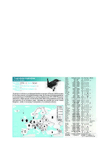 Birds in Europe – Dippers; Wrens  Cinclus cinclus