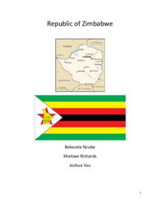 Microsoft Word - Zimbabwe Final.docx