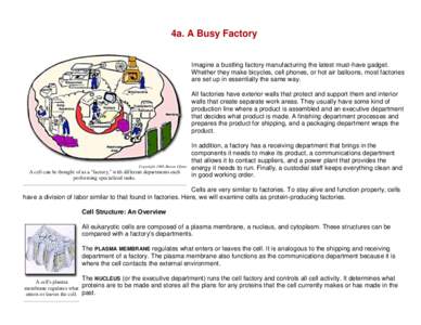 4a. A Busy Factory Imagine a bustling factory manufacturing the latest must-have gadget. Whether they make bicycles, cell phones, or hot air balloons, most factories are set up in essentially the same way. All factories 