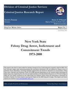 Government / Felony / Computerized Criminal History / Rockefeller Drug Laws / Drug court / Mandatory sentencing / Indictment / Prohibition of drugs / Law / Criminal law / Law enforcement in the United States