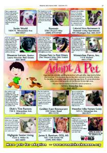 27  Wenatchee Valley Business World | September 2015 Hilly is a playful Bull Dog mix and a pleasure