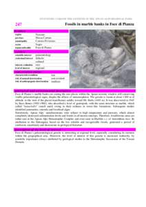 INVENTORY CARD OF THE GEOSITES IN THE APUAN ALPS REGIONAL PARK  Fossils in marble banks in Foce di Pianza 247