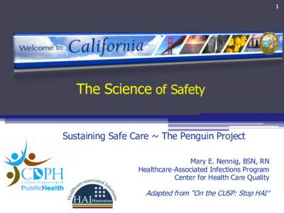 1  The Science of Safety Sustaining Safe Care ~ The Penguin Project Mary E. Nennig, BSN, RN Healthcare-Associated Infections Program