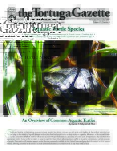 theTortuga Gazette  November/December 2007 Volume 43, Number 4  California Turtle & Tortoise Club Founded in 1964