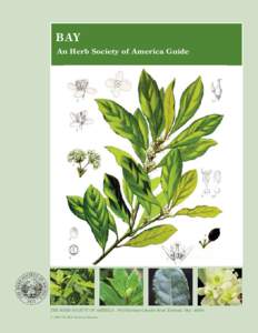 Lake County /  Ohio / The Herb Society of America / Laurus / Bay leaf / L. nobilis / Flora / Bay Laurel / Kirtland /  Ohio / Bay / Herbs / Botany / Medicinal plants