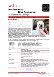 Professional Dog Grooming at Richmond College Course No:  10015