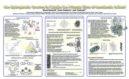 Are Hydrophobic Grooves in Tubulin the Primary Sites of Anesthesic Action? 1 2  Stuart Hameroff , Travis Craddock , Jack Tuszynski