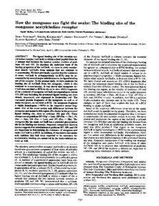 Molecular biology / Neurotoxin / Alpha-Bungarotoxin / Acetylcholine receptor / Biology / Biochemistry / Proteins