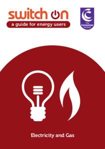 a guide for energy users  Electricity and Gas 1.The Gas and Electricity Network