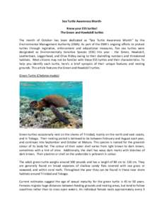 Sea Turtle Awareness MonthKnow your ESS turtles! The Green and Hawksbill turtles The month of October has been dedicated as “Sea Turtle Awareness Month” by the Environmental Management Authority (EMA). As part of the