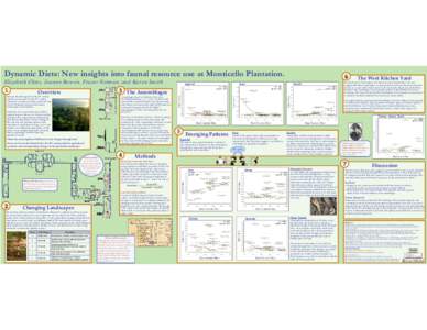 Dynamic Diets: New insights into faunal resource use at Monticello Plantation. Elizabeth Clites, Joanne Bowen, Fraser Neiman, and Karen Smith 1  3 The Assemblages