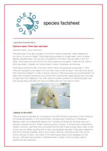 species factsheet  | species introduction | Common name: Polar bear (sea bear) Scientific name: Ursus maritimus The polar bear is the apex predator of the Arctic marine ecosystem, highly adapted for