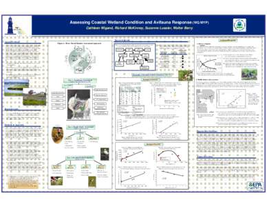 Aquatic ecology / Wetland / Spartina alterniflora / Soil respiration / Riparian zone / Soil / Salt marsh / Wetland conservation / Water / Ecology / Environment