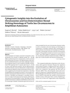 Cytogenetics / Chromosomes / Karyotype / Ploidy / Sex-determination system / Microchromosome / Turtle / Autosome / Y chromosome / Secondary constriction / Hybrid / Locus