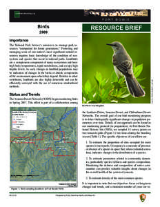 Ash-throated Flycatcher / Myiarchus / Hummingbird / Crissal Thrasher / Bird migration / Bird / Gray Vireo / Species richness / Ornithology / Zoology / Biology / Vireo