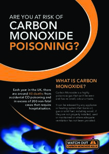 ARE YOU AT RISK OF  CARBON MONOXIDE POISONING?