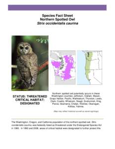 Species Fact Sheet Northern Spotted Owl Strix occidentalis caurina Photo Credit: USFWS